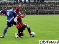 Hemmingen-Hoefingen04-10-15-(71)