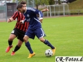 Hemmingen-Hoefingen04-10-15-(75)