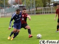 Hemmingen-Hoefingen04-10-15-(76)