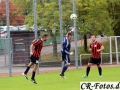 Hemmingen-Hoefingen04-10-15-(83)