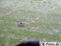 thumb_P1180703_1024_1