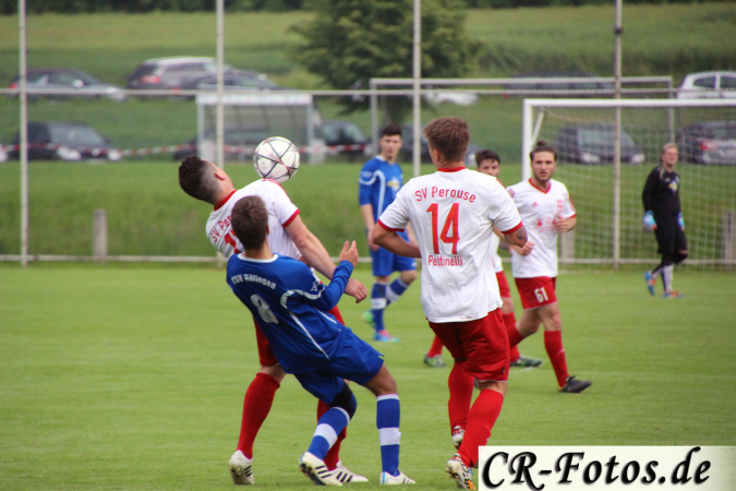 SV-Perouse---TSV-Höfingen-044_1