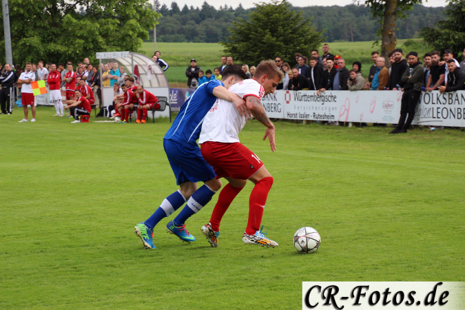 SV-Perouse---TSV-Höfingen-053_1