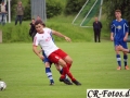 SV-Perouse---TSV-Höfingen-076_1