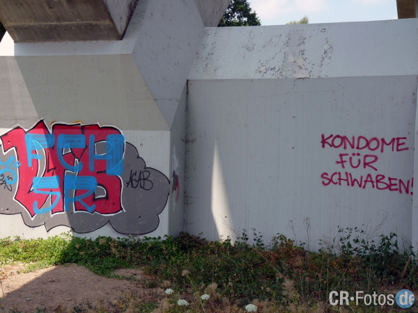 TSGBacknang-TSVSchwaikheim 001 Kopie