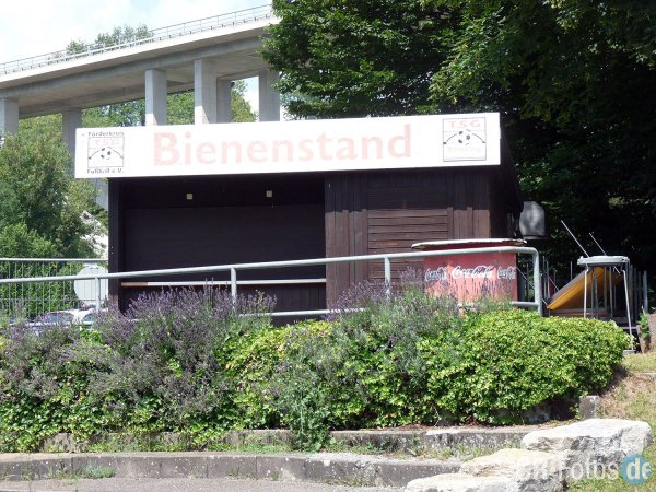 TSGBacknang-TSVSchwaikheim 029 Kopie