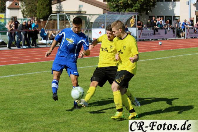 TSV-Eltingen-TSV-Höfingen-083