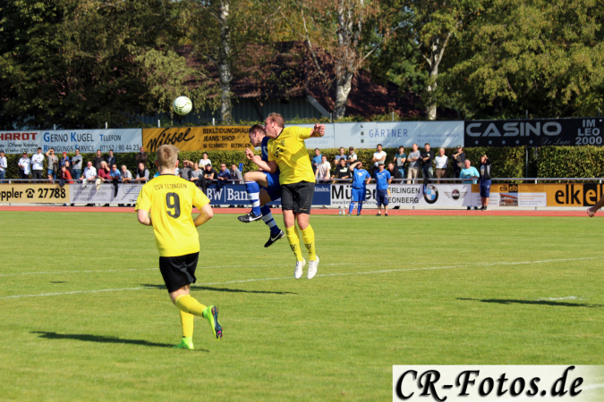 TSV-Eltingen-TSV-Höfingen-084