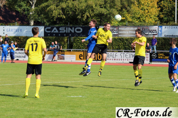 TSV-Eltingen-TSV-Höfingen-091