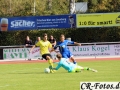 TSV-Eltingen-TSV-Höfingen-019