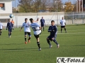 Schwieberdingen-Hoefingen-011_1