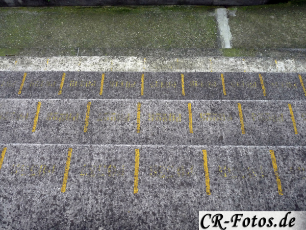 Cremonese-Pistoiese-(23)_1