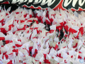 HPVfBStuttgart-Kiel26_10_24-13