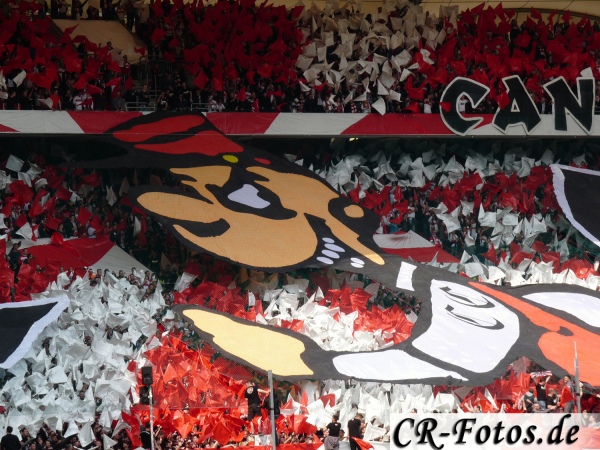 VfBStuttgart-DynamoDresden-014_1